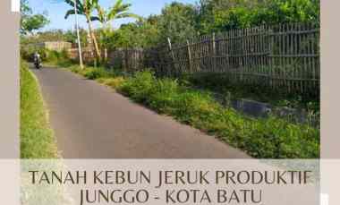 dijual tanah di junggo tulungrejo