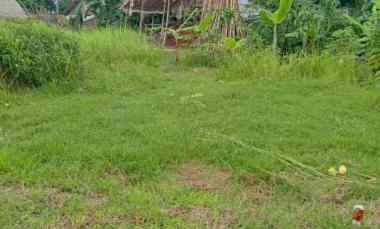 dijual tanah di kedungsukun ke adiwerna kab tegal