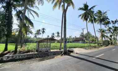 dijual tanah di kelurahan kebon agung jember