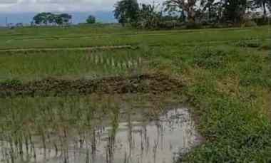 Tanah Dijual di Palur solo