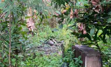 dijual tanah di purwomukti pedurungan semarang