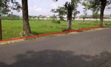 Dijual Tanah di Raya Kalirejo, Sukorejo Pandaan