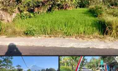 Dijual Cepat Tanah Sawah di Kuweron Rt.03 Rw.22 Candibinangun Pakem