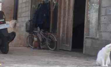 dijual tanah dijual tanah bonus rumah