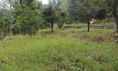dijual tanah dijual tanah di blok