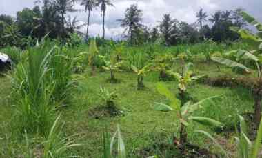 Dijual Tanah di Desa Serongga Klod Gianyar,dekat by Pass Mantra