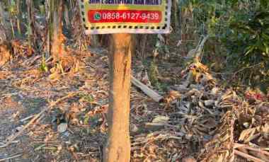 Dijual Tanah di Desa Sureman Margomulyo,Kec Pegandon, Kab Kendal