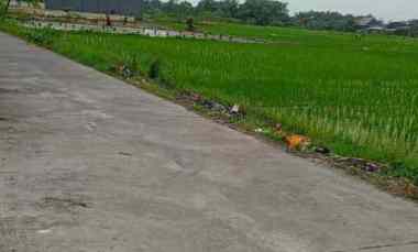 dijual tanah dijual tanah di dusun