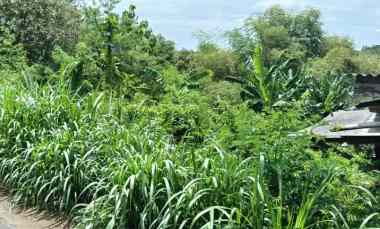 Dijual Tanah di Kaliboto,Mojogedang Belakang Waterpark Kaliboto