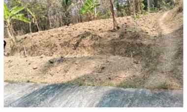 Dijual Tanah di Kalipetir,Kidul,Margosari,Kec Pengasih,Kab Kulon Progo