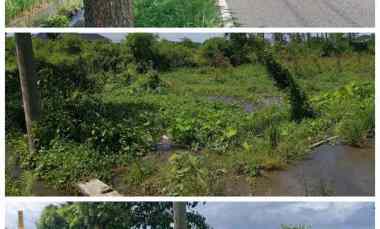 Pekarangan 1275m2 Tepi Jln Utama Wisata Ponggok Klaten 1 jt/m2