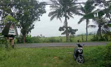 Dijual Tanah Perkebunan Los Sungai Murah Tempat Strategis