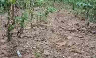 Tanah Dijual di DS. mundeh Kangin, kec selemadeg barat Tabanan bali