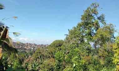 Dijual Tanah Kebun Tempat Sangat Strategis di Desa Wisata Sanda Pupuan