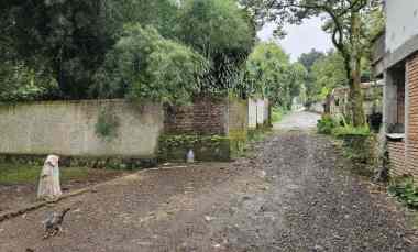 Jual Kebun Durian sudah Berbuah di Bogor 30 menit Stasiun Bogor