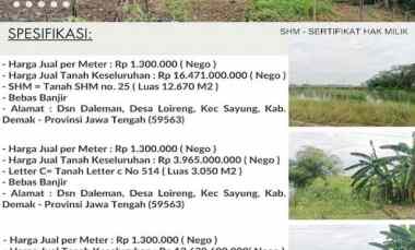 dijual tanah dusun daleman desa loireng