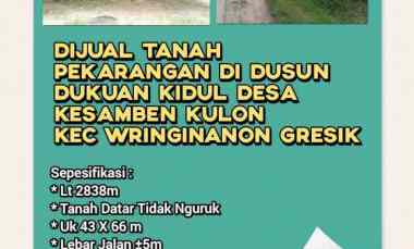 dijual tanah dusun dukuan kidul