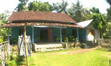 Tanah Murah Bonus Rumah Tua Jetis Butun Gandusari Blitar