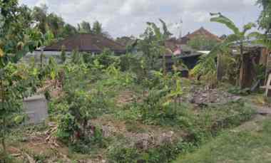 dijual tanah gandamayu pemaron