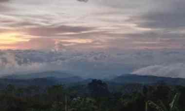 Tanah View Gunung dan Lembah dekat Villa Alpha Gesing Munduk