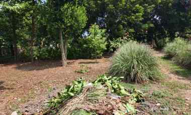 Dijual Tanah Kavling di Gg Ali Hamdan Maracang Purwakarta