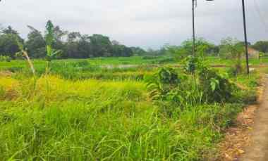 Tanah Dijual di Gondang Legi, Kel. Wedomartani, Kec. Ngemplak, Kab. Sleman, Yogyakarta 55282