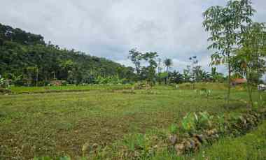 Jual Tanah Butuh Uang, di Gunung Bunder Pamijahan, View Gunung Salak
