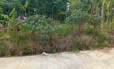 Tanah Kavling Murah Siap Bangun Shm Ready dekat Kampus Unwahas