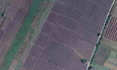 Tanah Dijual di Probolinggo