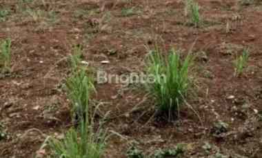 Tanah 3 jt an Industri Maspion Manyar Gresikr, Hadap Selatan