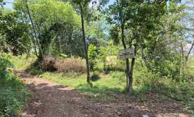 Tanah Dijual di Gunungpati