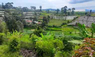 dijual tanah jalan barunagri