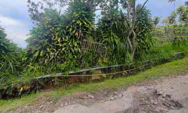 dijual tanah jalan barunagri