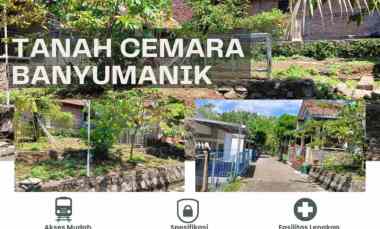 dijual tanah jalan cemara