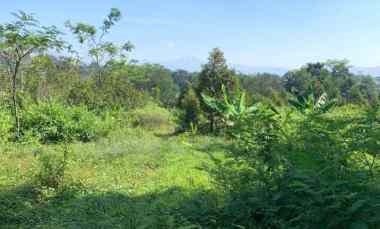 dijual tanah jalan cibinong hilir