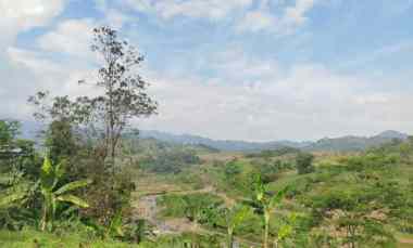 Tanah Cocok di Sukamakmur Bogor View Bagus dan dekat Sungai
