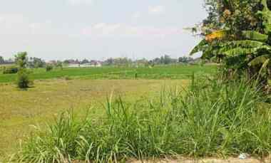 dijual tanah jalan dusun blunyahan