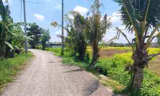 dijual tanah jalan kedungu badung bali