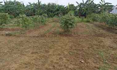 Tanah Kavling Strategis Pinggir Jalan dekat Jalan Gabus Raya