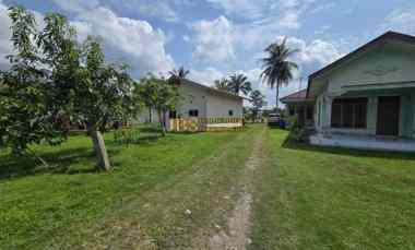 dijual tanah jalan lintas sumatera langkat