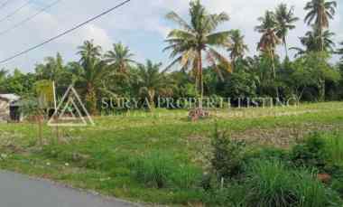 Tanah Dijual di Jalan Makmur Dsn 5 desa kuala Tanjung
