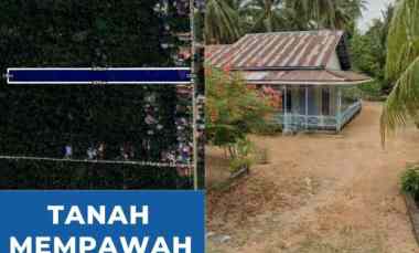 Dijual Tanah Luas Plus Kebun 10125m2 Mempawah Kijing Pontianak