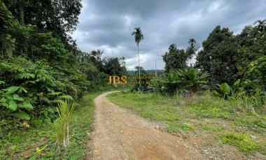 Dijual Tanah Luas 60Ha di Jalan Namorambe - Sembahe, Deli Serdang