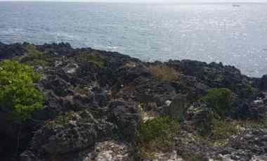 dijual tanah jalan pantura menuju danau