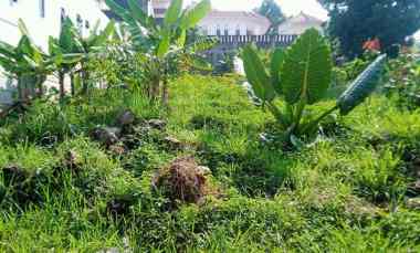 Tanah Dijual di Jalan Pasir Impun