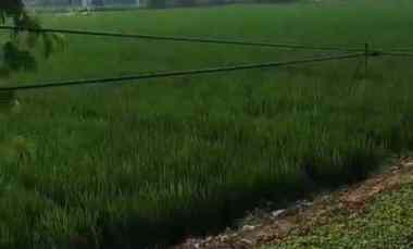 Tanah untuk Bangun Gudang atau Cluster di Pinggir Jalan Pertamina