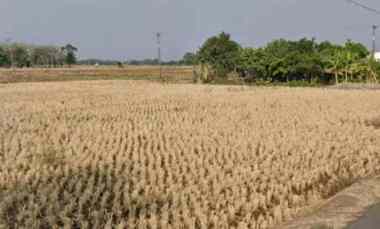 Tanah untuk Usaha atau Gudang Pinggir Jalan Gabuswetan Rancahan