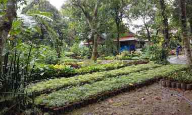 Tanah Bonus Rumah Lokasi Pinggir Jalan Arco Tajur Halang Bogor