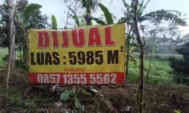 dijual tanah jalan raya boja dusun