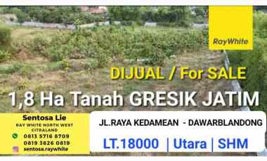 dijual tanah jalan raya kedamean